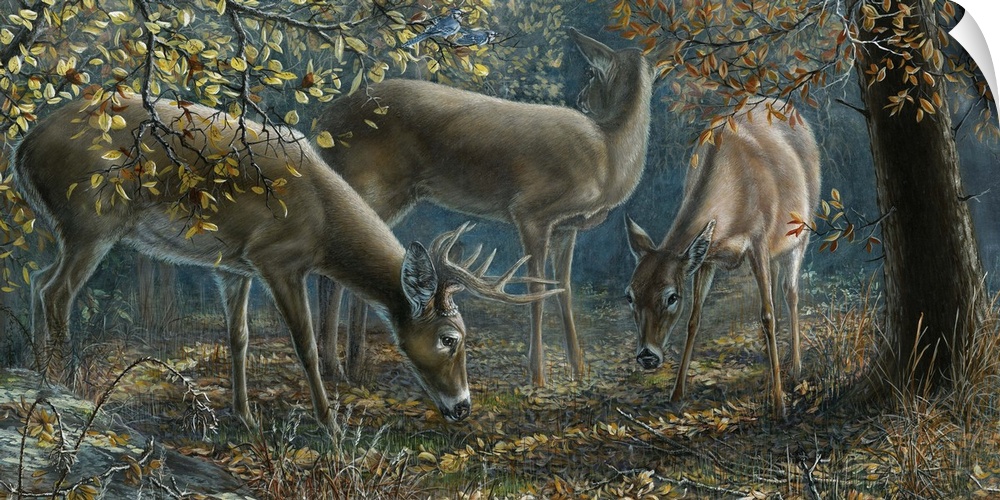 Contemporary painting of deer grazing in a forest.