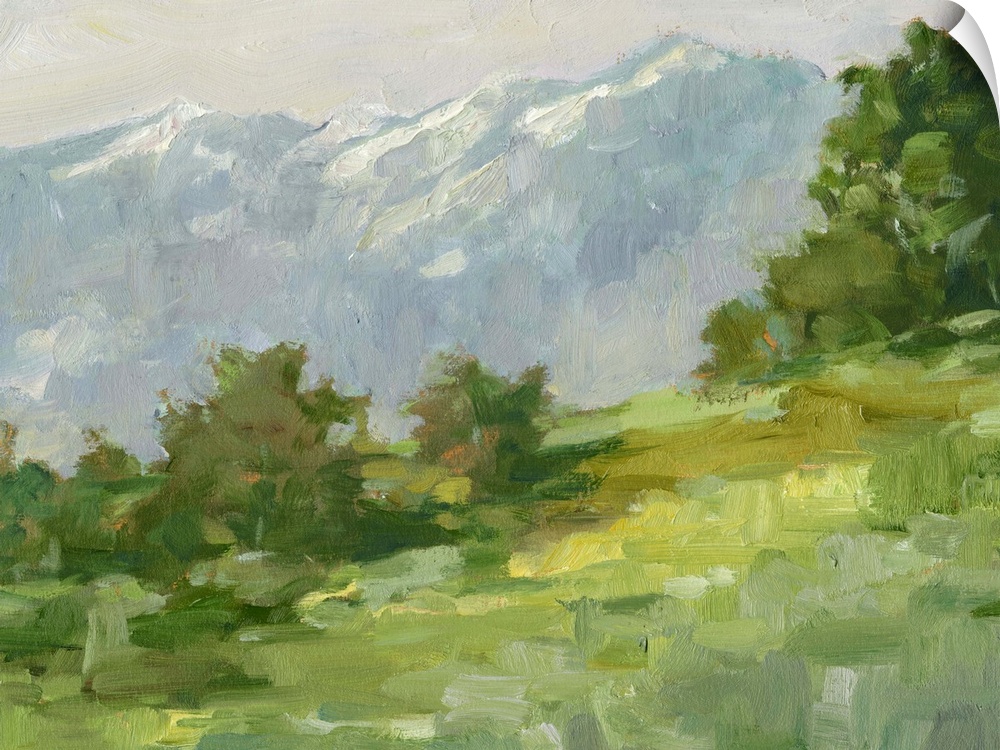 Contemporary landscape painting of a rural mountain meadow.