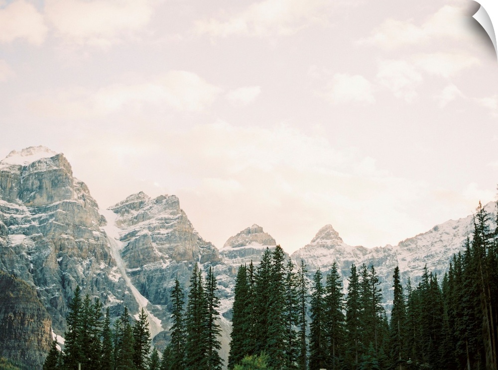 Photograph of tall evergreen trees in front of snow covered mountains, Lake Louise, Canada