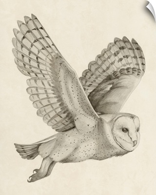 Night Owl II