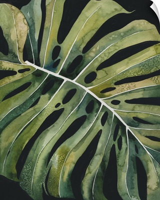 Nocturnal Monstera I
