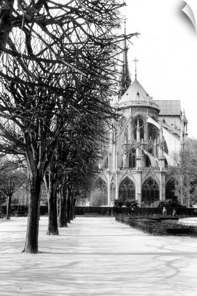 Notre Dame Cathedral IV