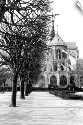 Notre Dame Cathedral IV