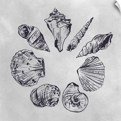 Ocean Seashells II