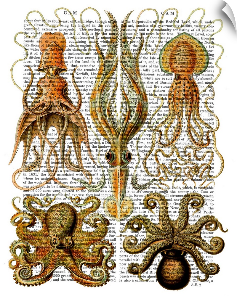 Five varieties of squid and octopi painted over a vintage dictionary page.