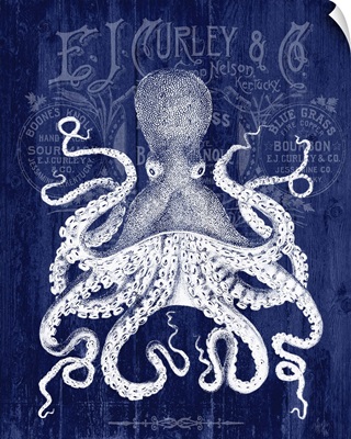 Octopus Prohibition Octopus On Blue