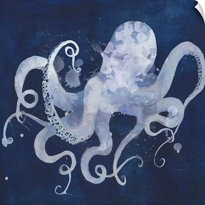 Octopus Shadow II