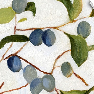 Olives On The Branch IV