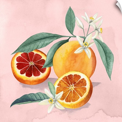 Orange Blossom II