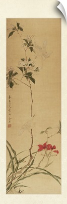 Oriental Silk II