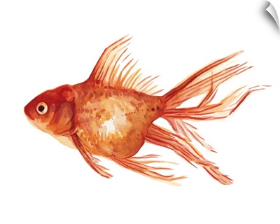 Ornamental Goldfish I