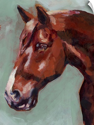 Paint By Number Horse I