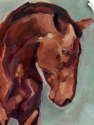 Paint By Number Horse II