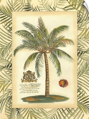 Palm in Bamboo II
