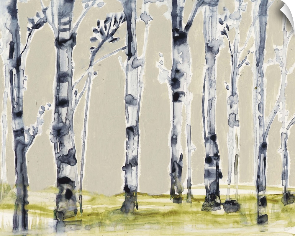 Watercolor painting of a grove of birch trees.