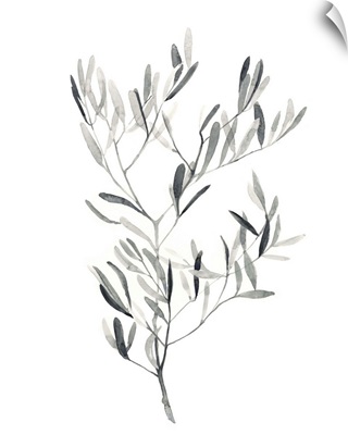 Paynes Grey Botanicals IV