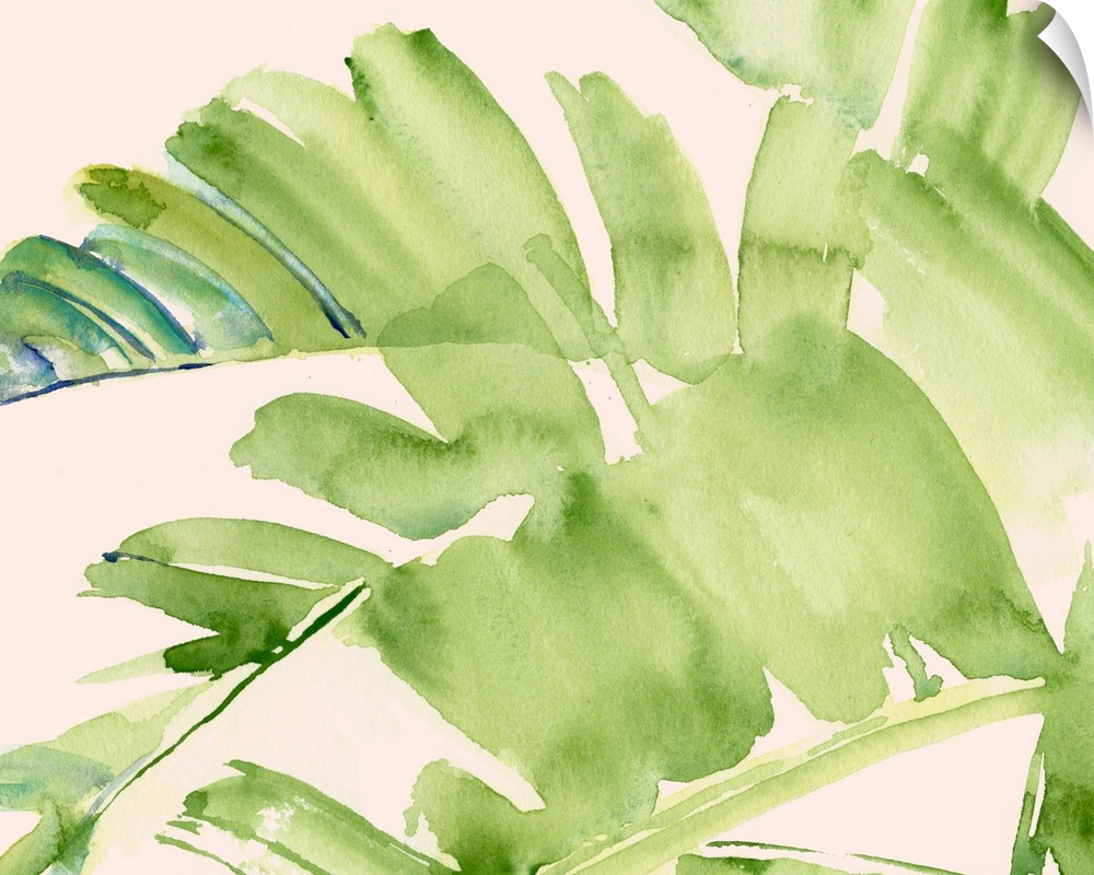 Watercolor palm fronds on a peachy pink background.