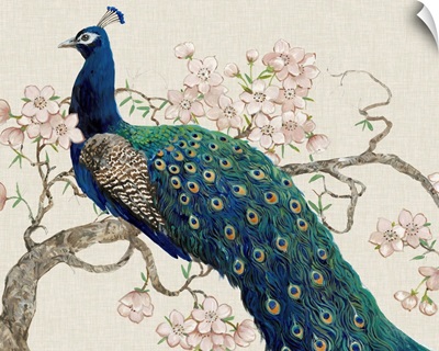 Peacock and Blossoms II
