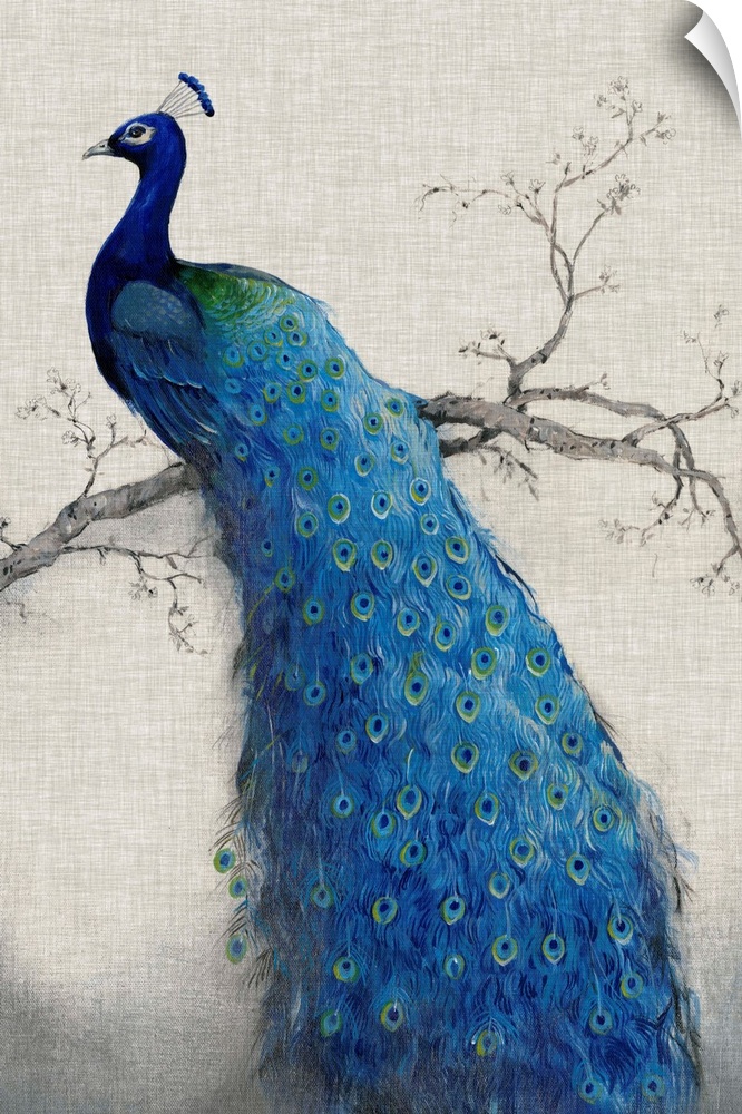 Vertical, large artwork of a vibrant peacock sitting on a branch, its tail feathers flowing downward, on a neutral backgro...