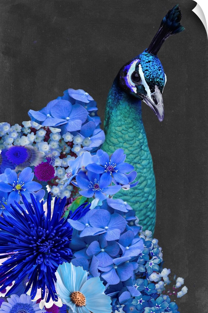 Peacock Collage II