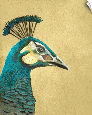 Peacock Profile II