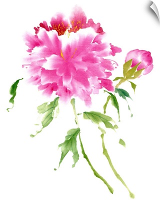 Peonies in Pink I