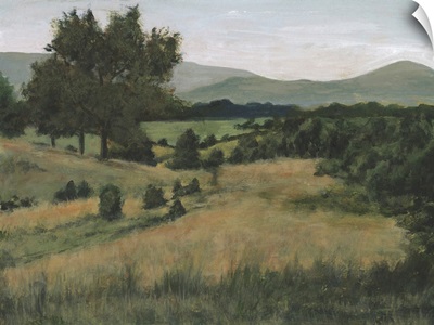 Piedmont Meadow II