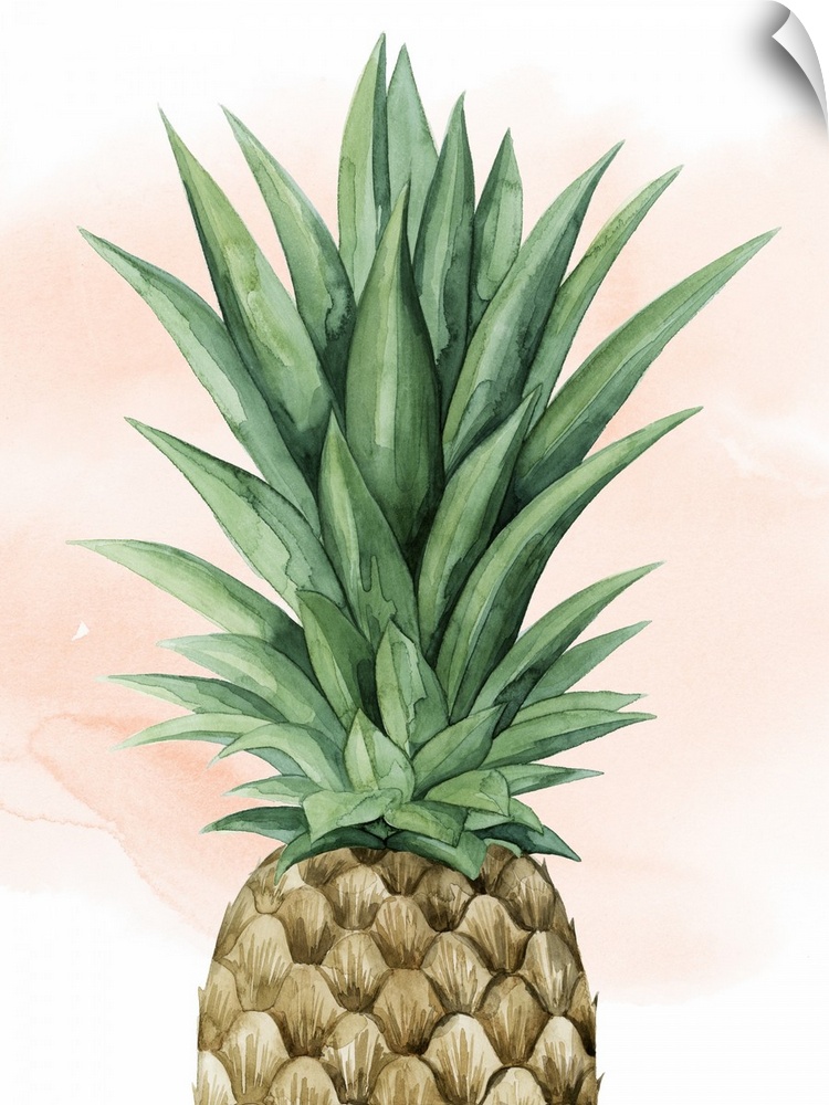 Layers of color emanate through in this cropped watercolor painting of a pineapple.