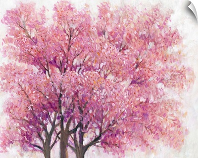 Pink Cherry Blossom Tree I