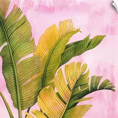 Pink & Palms I