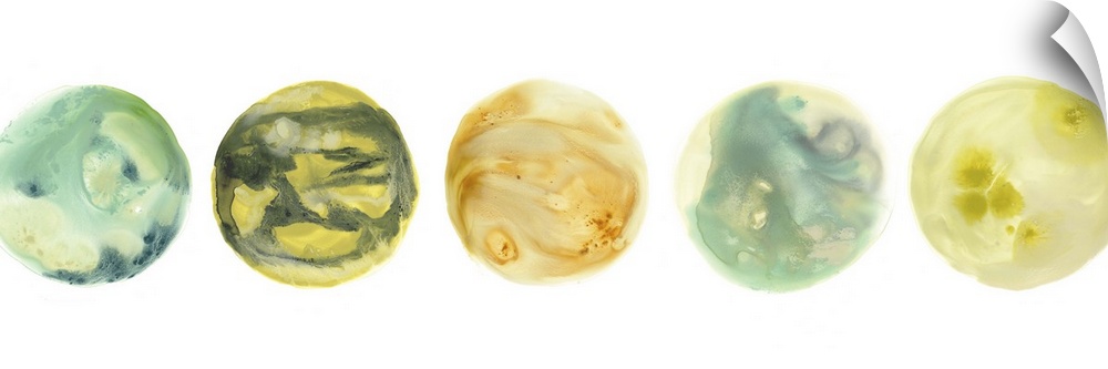 Panoramic artwork of five circles with marbling colors representing planets, on a white background.