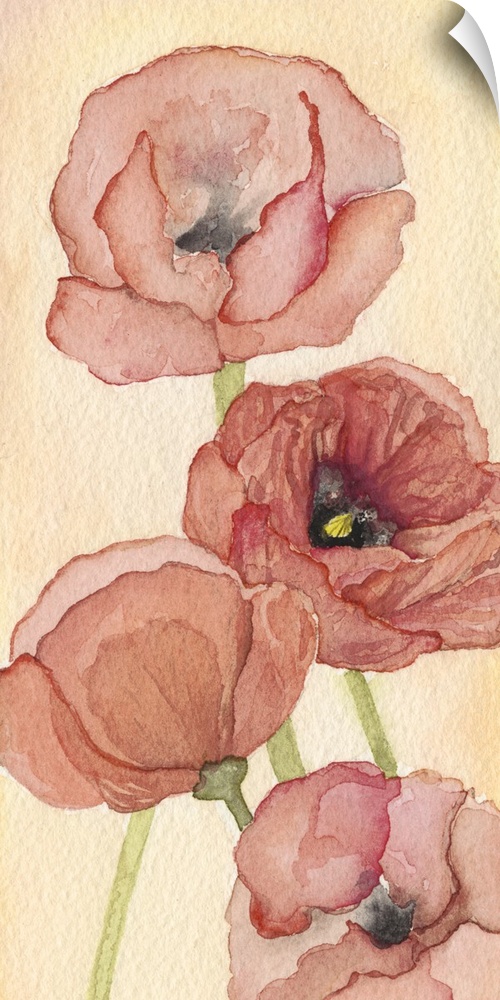 An elegant watercolor painting of red poppies on a warm tone backdrop.