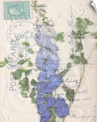 Postcard Wildflowers II