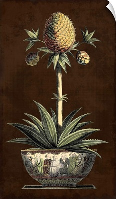 Potted Pineapple I