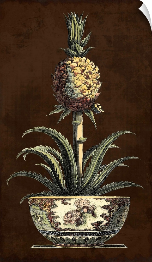 Potted Pineapple II