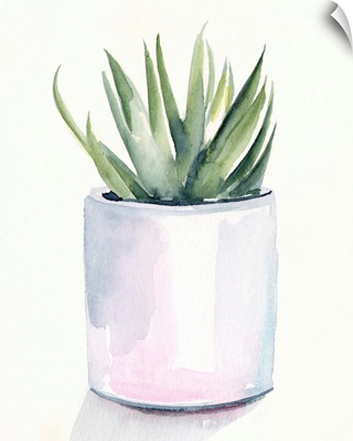 Potted Succulent III