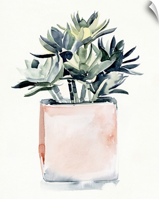 Potted Succulent IV
