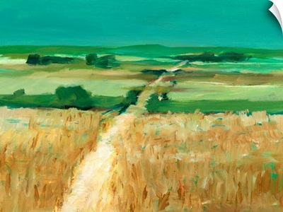 Prairie Path II