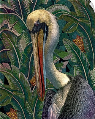 Primal Pelicana