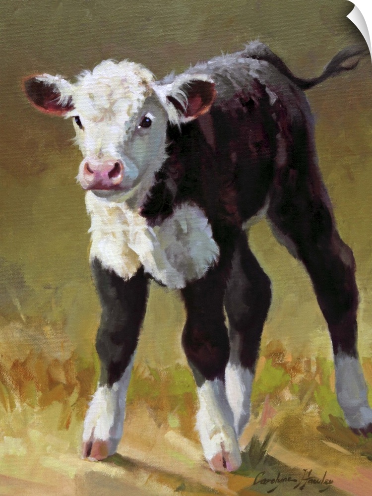 Contemporary artwork of a young brown and white calf.