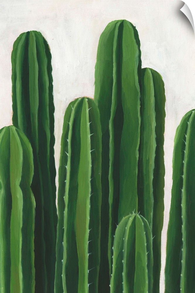 Artwork featuring luscious cacti against a mottled background with gray and off-white brush strokes.