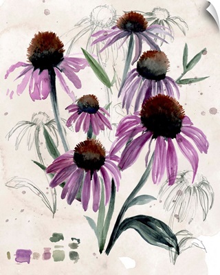 Purple Wildflowers II