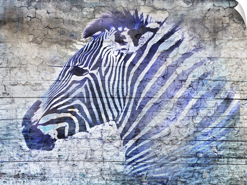 Digital artwork of a purple zebra over horizontal wood boards with a dried cracking texture throughout.