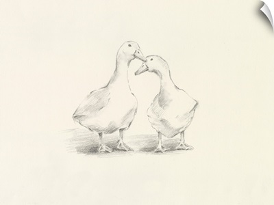 Quack Quack I