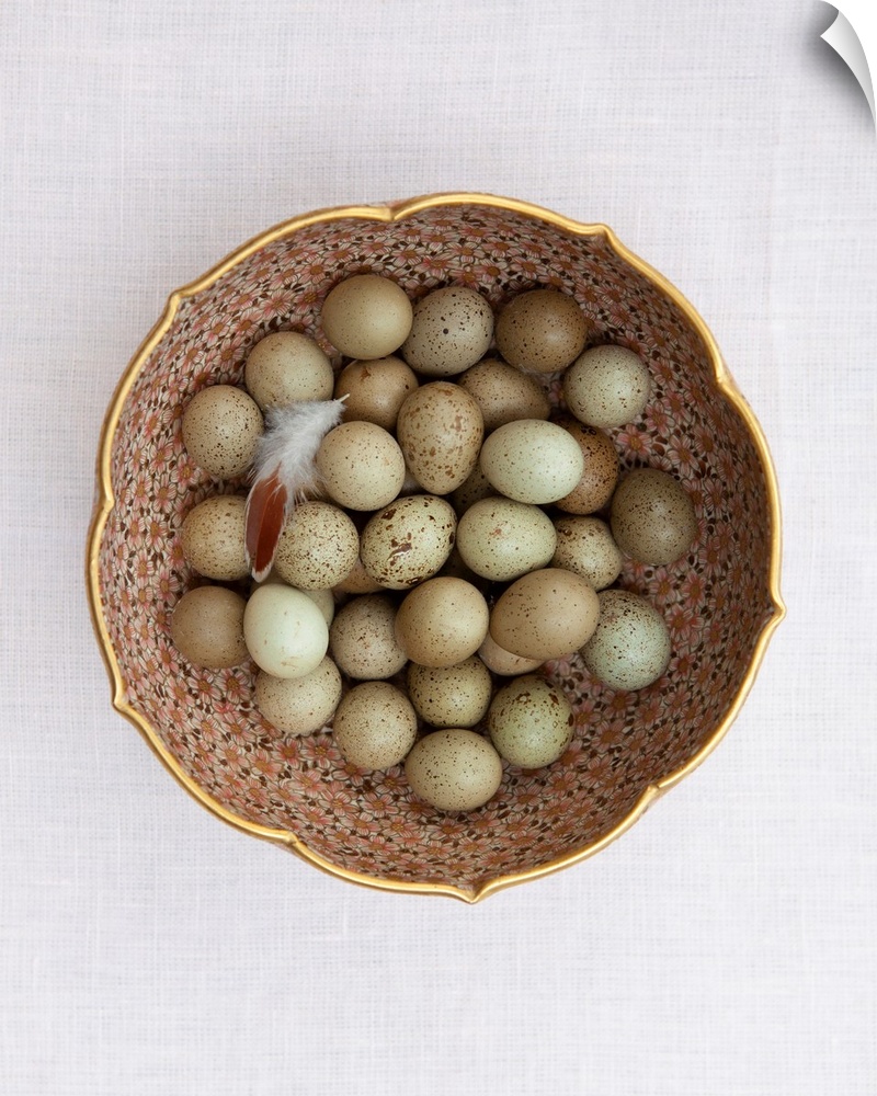 Quail Eggs On Pink Plate