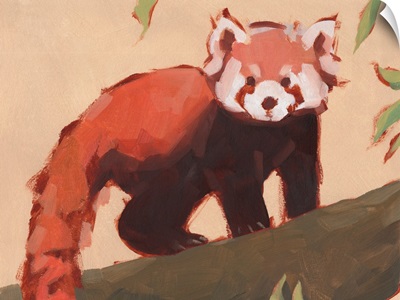 Red Panda I