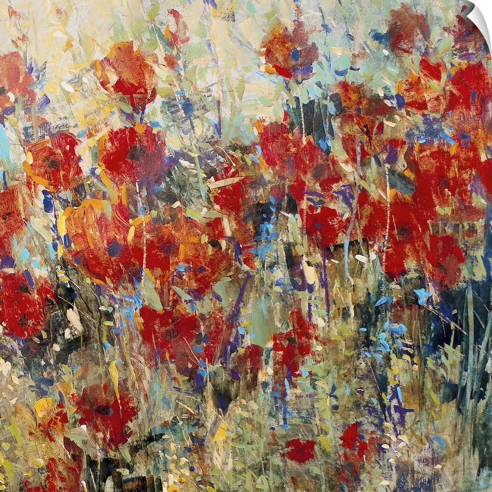 Contemporary painting of several bright poppy flowers growing in the wild.