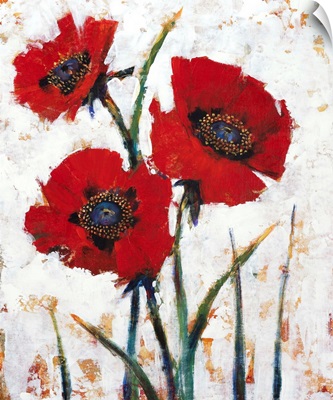 Red Poppy Fresco I