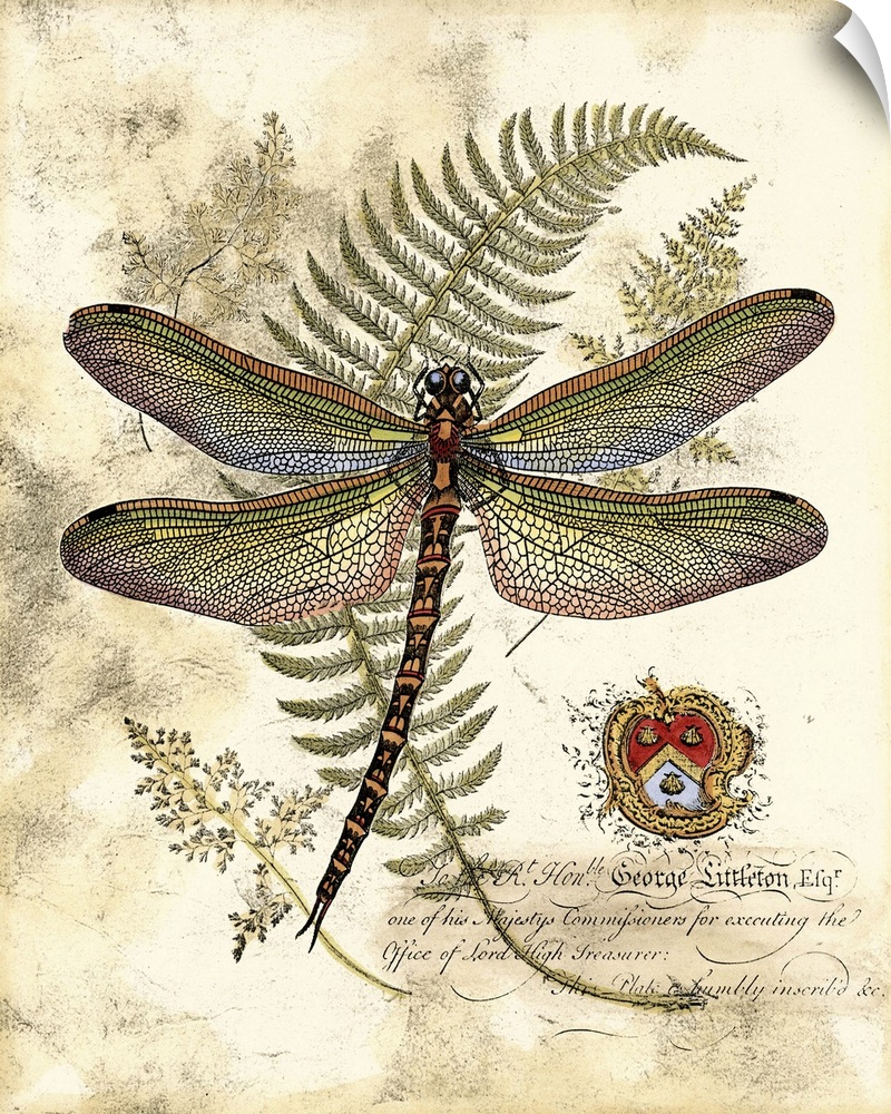 Contemporary artwork of a dragonfly and fern frond against a weathered beige background.