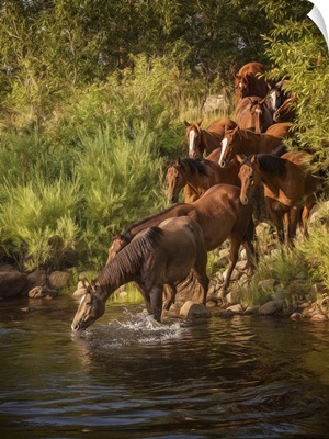 River Horses I